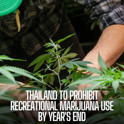 Thailand's Health Minister has announced plans to criminalise recreational marijuana use by the end of the year.