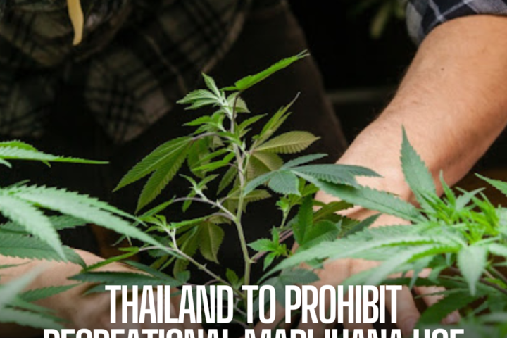 Thailand's Health Minister has announced plans to criminalise recreational marijuana use by the end of the year.