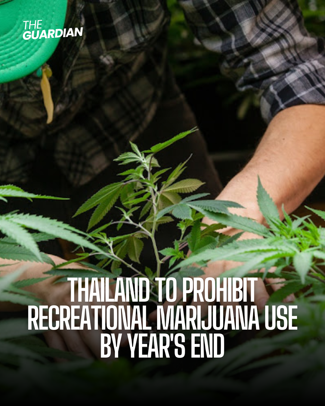 Thailand's Health Minister has announced plans to criminalise recreational marijuana use by the end of the year.