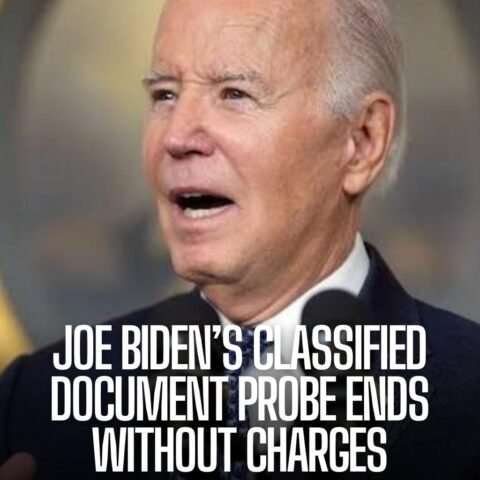 Democrats are supporting President Joe Biden after a report on his handling of classified papers raised concerns regarding his age and mental fitness.