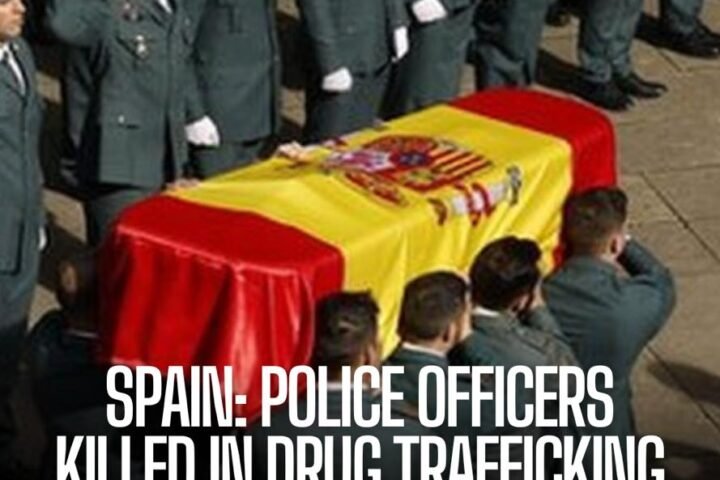 Eight people have been arrested in Spain after two officers were killed in a boat chase with suspected drug traffickers.