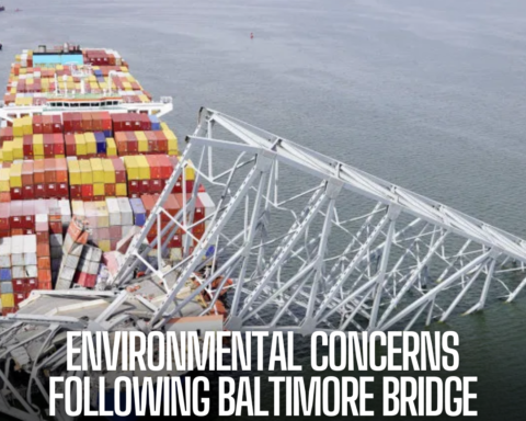 Responders have now found 'no immediate threat,' but 14 of at least 56 containers having contaminants were eradicated.