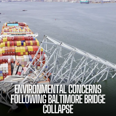 Responders have now found 'no immediate threat,' but 14 of at least 56 containers having contaminants were eradicated.