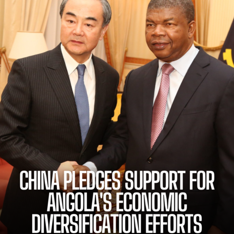 President Xi Jinping has expressed his country's willingness to assist Chinese enterprises investing in Angola's agriculture industry.