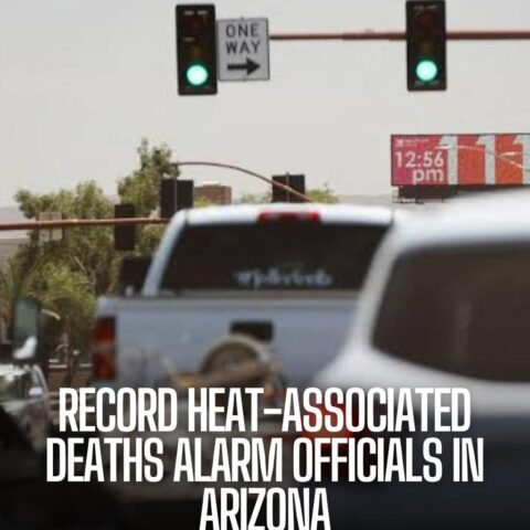 The number of heat-related casualties in Phoenix, Arizona, was over 50% higher than in 2022, which officers say 'can be prevented.'
