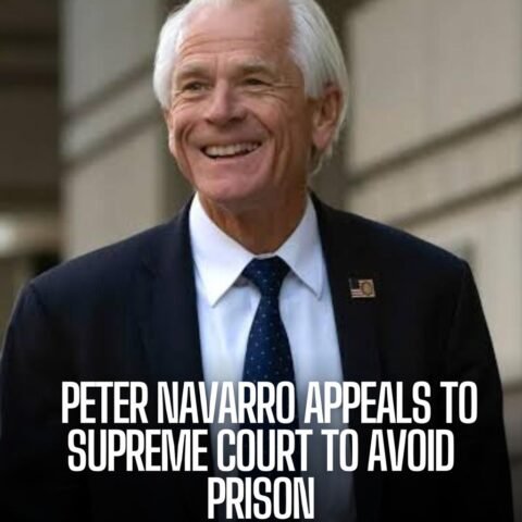 Peter Navarro demanded his conviction for contempt from Congress after he declined to unite with the January 6 House investigation.