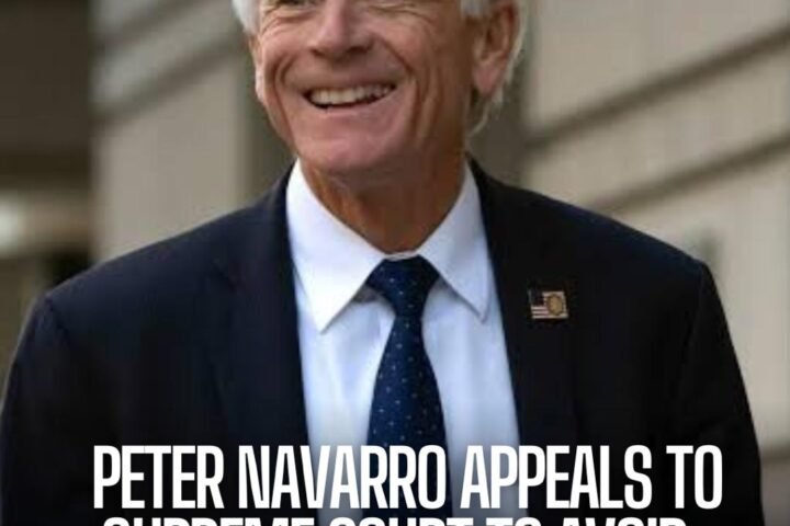 Peter Navarro demanded his conviction for contempt from Congress after he declined to unite with the January 6 House investigation.